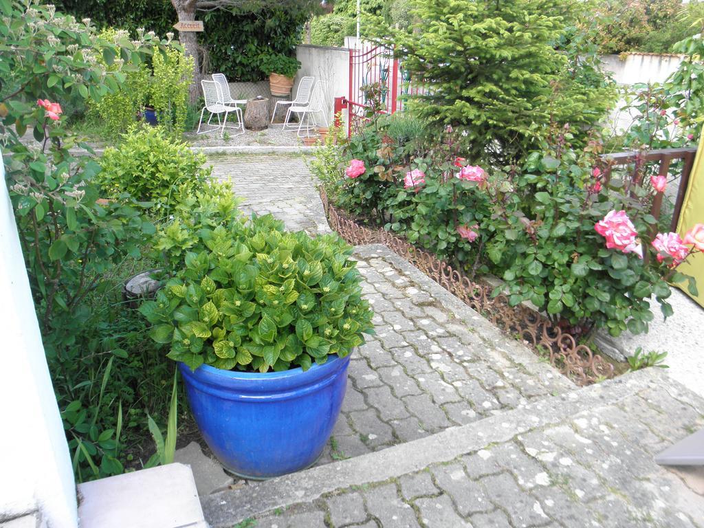 Bed & Breakfast Le Beausejour Carcassonne Buitenkant foto